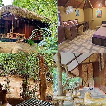 Koomankolly Resort Thirunelly Zewnętrze zdjęcie