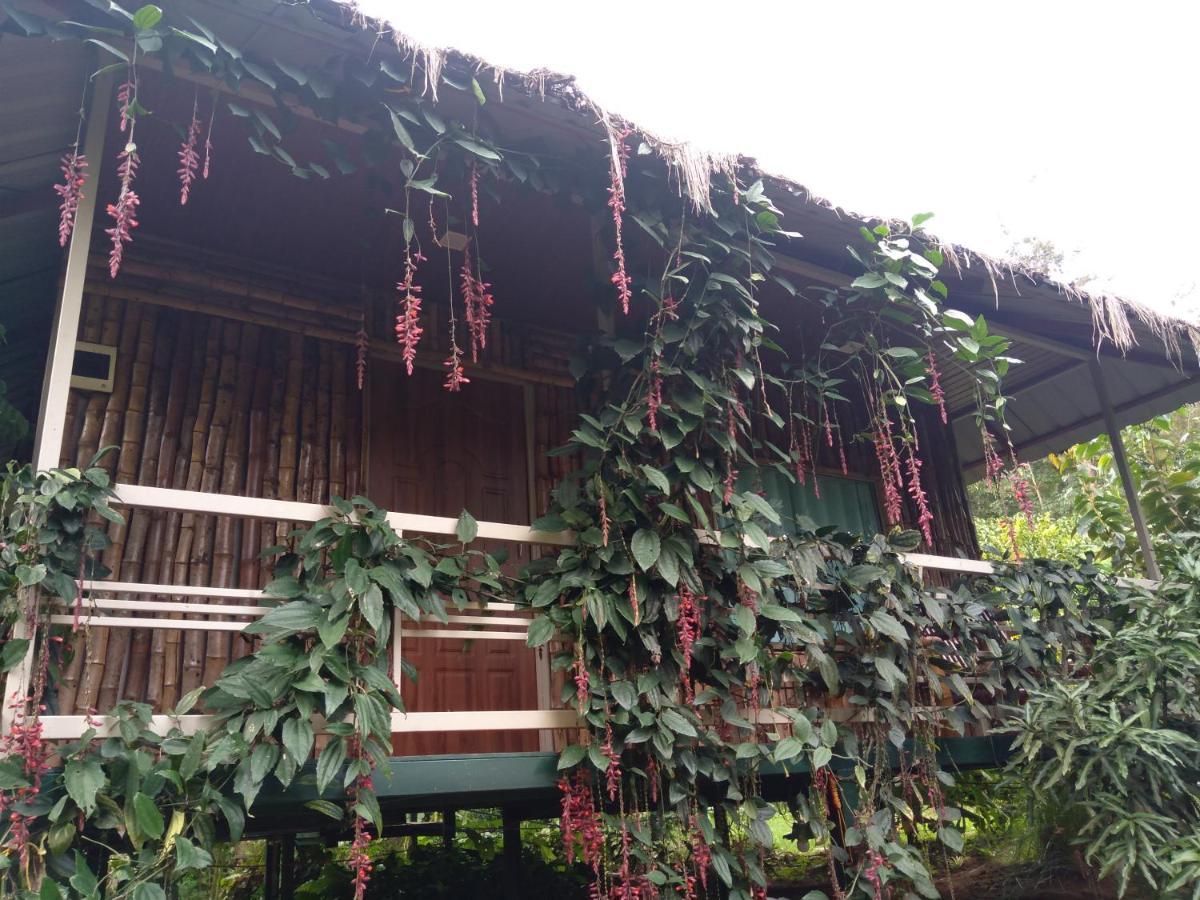 Koomankolly Resort Thirunelly Zewnętrze zdjęcie